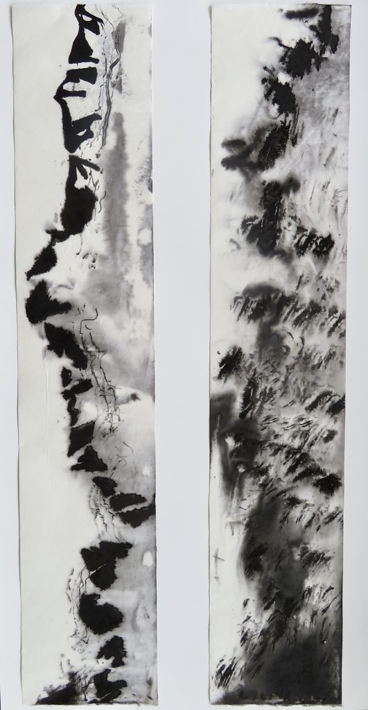 où commence l'Amazonie, 4 et 5